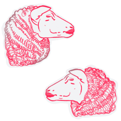 SHEEP · OK!