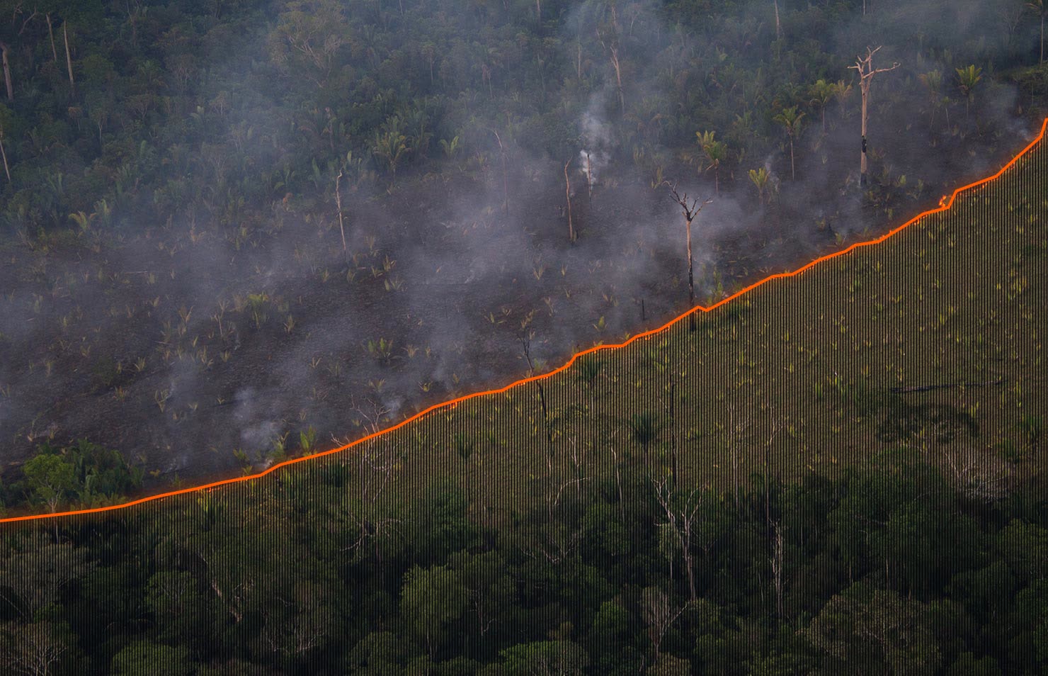 In the Shadow of Fires
