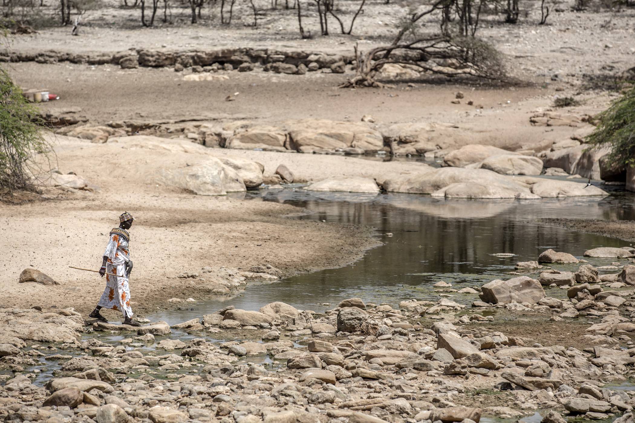 Pasterze Samburu w Kenii: walka z suszą i degradacją ziemi